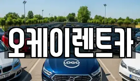 경북 영천시 창구동 렌트카 전문 오케이렌트카