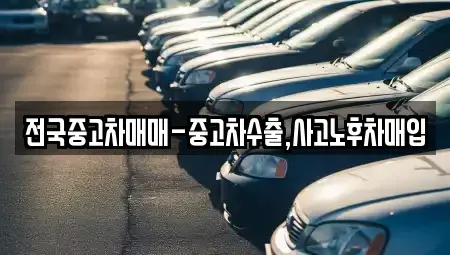 경북 영천시 창구동 중고차매매 전문 전국중고차매매-중고차수출,사고노후차매입
