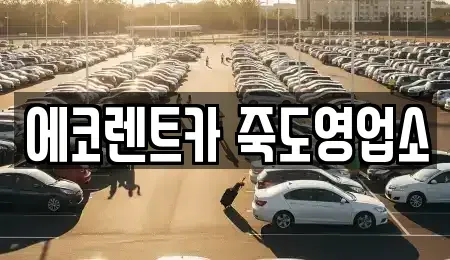 경북 포항시 남구 이동 렌트카 전문 에코렌트카 죽도영업소
