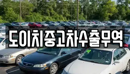 경북 포항시 남구 장흥동 중고차매매 전문 도이치중고차수출무역
