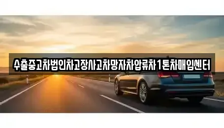경북 포항시 남구 장흥동 중고차매입 전문 수출중고차법인차고장사고차망자차압류차1톤차매입센터