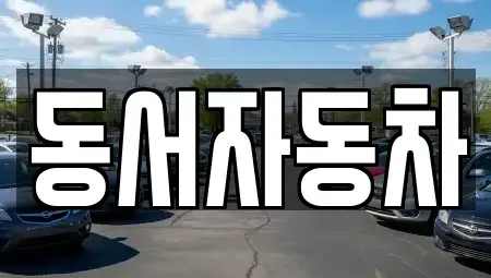 경상남도 고성군 동해면 중고차매매 전문 동서자동차