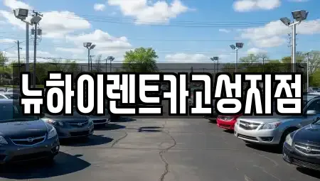 경상남도 고성군 렌트카 전문 뉴하이렌트카고성지점