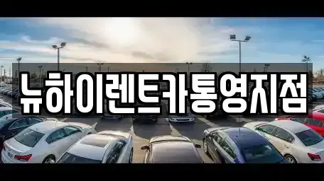 경상남도 고성군 장기렌트카 전문 뉴하이렌트카통영지점
