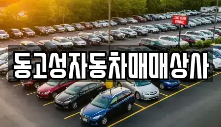 경상남도 고성군 중고차 전문 동고성자동차매매상사