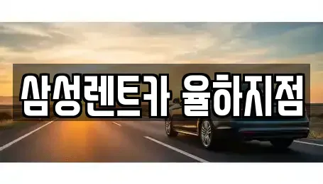 경상남도 김해시 신문동 렌트카 전문 삼성렌트카 율하지점