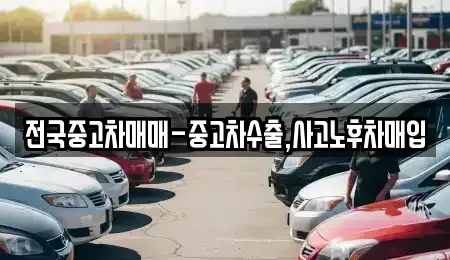 경상남도 김해시 신문동 중고차매매 전문 전국중고차매매-중고차수출,사고노후차매입