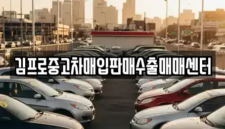 경상남도 김해시 신문동 중고차매입 전문 김프로중고차매입판매수출매매센터