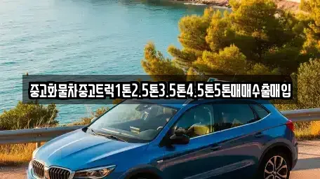 경상남도 김해시 신문동 중고차매입 전문 중고화물차중고트럭1톤2.5톤3.5톤4.5톤5톤매매수출매입