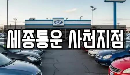 경상남도 사천시 렌트카 전문 세종통운 사천지점