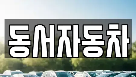 경상남도 사천시 용현면 중고차 전문 동서자동차