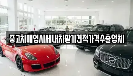 경상남도 사천시 중고차매입 전문 중고차매입시세내차팔기견적가격수출업체