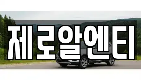 경상남도 창녕군 도천면 렌트카 전문 제로알엔티
