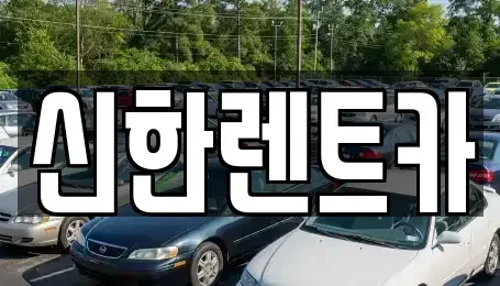 경상남도 창원시 마산합포구 오동동 렌트카 전문 신한렌트카