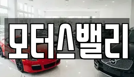 경상남도 창원시 마산합포구 오동동 중고차매매 전문 모터스밸리