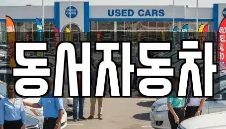경상남도 창원시 마산합포구 월남동2가 중고차매매 전문 동서자동차