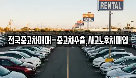 경상남도 창원시 마산합포구 월남동2가 중고차매매 전문 전국중고차매매-중고차수출,사고노후차매입