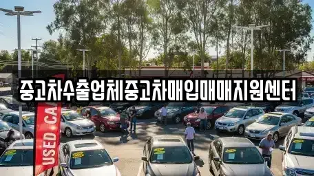 경상남도 창원시 마산합포구 월남동2가 중고차매매 전문 중고차수출업체중고차매입매매지원센터