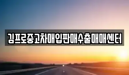 경상남도 창원시 마산합포구 월남동2가 중고차매입 전문 김프로중고차매입판매수출매매센터