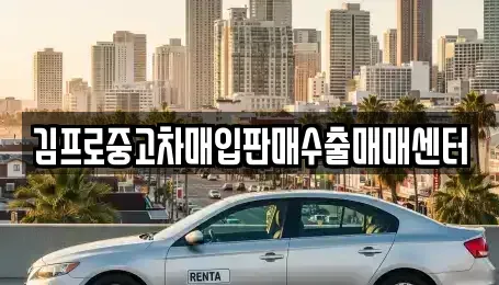 경상남도 창원시 마산합포구 자산동 중고차 전문 김프로중고차매입판매수출매매센터