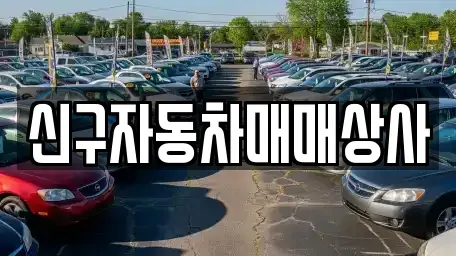 경상남도 창원시 마산합포구 자산동 중고차 전문 신구자동차매매상사