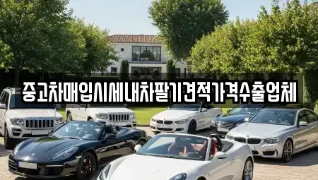 경상남도 창원시 마산합포구 자산동 중고차매입 전문 중고차매입시세내차팔기견적가격수출업체