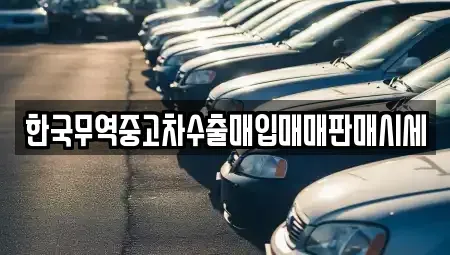 경상남도 창원시 성산구 내동 중고차매입 전문 한국무역중고차수출매입매매판매시세