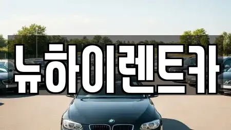 경상남도 창원시 성산구 사파정동 렌트카 전문 뉴하이렌트카