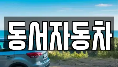 경상남도 창원시 성산구 사파정동 중고차매매 전문 동서자동차