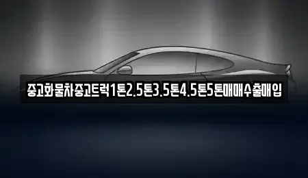경상남도 창원시 성산구 사파정동 중고차매매 전문 중고화물차중고트럭1톤2.5톤3.5톤4.5톤5톤매매수출매입