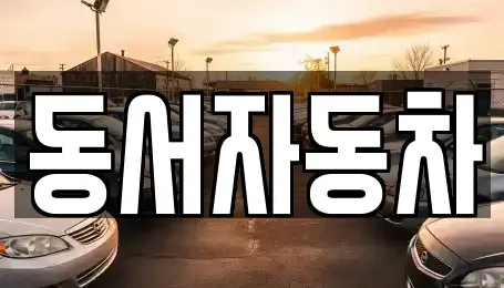 경상남도 창원시 성산구 완암동 단기렌트카,중고차매입,중고차매매,중고차,렌트카,장기렌트카