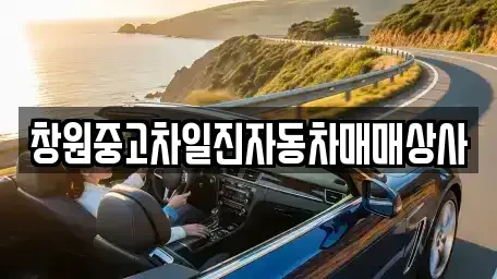 경상남도 창원시 의창구 서상동 중고차 전문 창원중고차일진자동차매매상사