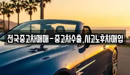 경상남도 창원시 의창구 서상동 중고차매입 전문 전국중고차매매-중고차수출,사고노후차매입