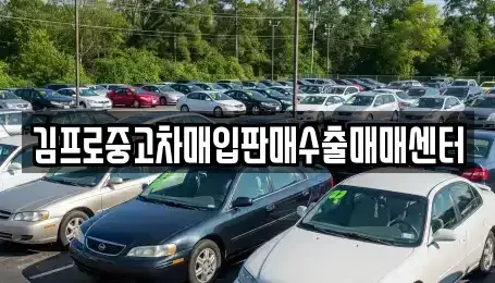 경상남도 하동군 적량면 중고차매입 전문 김프로중고차매입판매수출매매센터