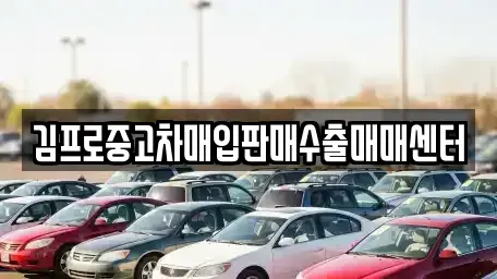 경상남도 합천군 율곡면 중고차 전문 김프로중고차매입판매수출매매센터