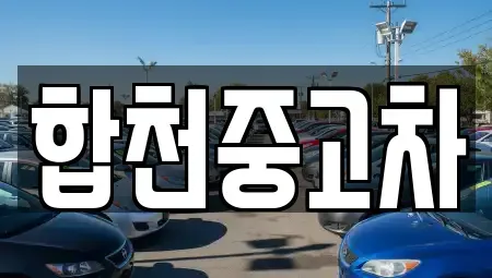 경상남도 합천군 율곡면 중고차 전문 합천중고차