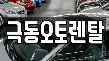 경상북도 경산시 옥산동 렌트카 전문 극동오토렌탈