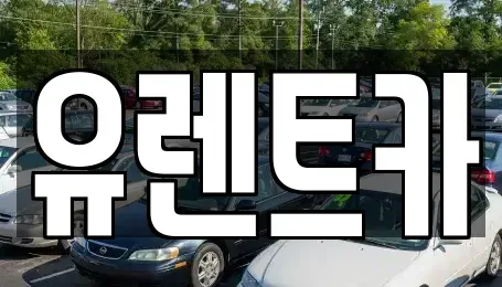 경상북도 경산시 옥산동 렌트카 전문 유렌트카