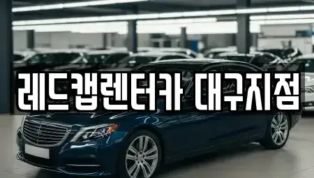 경상북도 경산시 옥산동 장기렌트카 전문 레드캡렌터카 대구지점