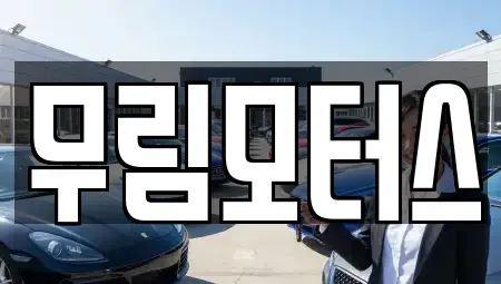 경상북도 경산시 옥산동 중고차 전문 무림모터스
