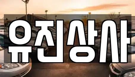 경상북도 경산시 옥산동 중고차 전문 유진상사