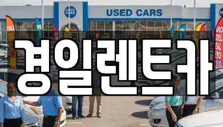 경상북도 경산시 하양읍 렌트카 전문 경일렌트카