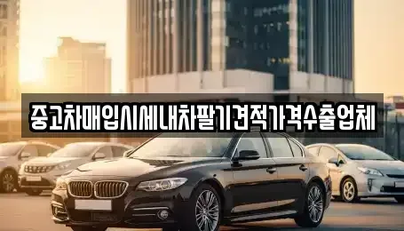 경상북도 경산시 하양읍 중고차 전문 중고차매입시세내차팔기견적가격수출업체