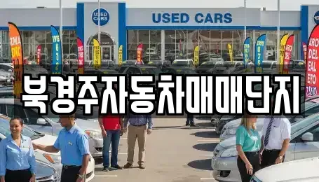 경상북도 경주시 강동면 중고차 전문 북경주자동차매매단지