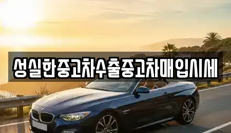 경상북도 경주시 강동면 중고차매입 전문 성실한중고차수출중고차매입시세