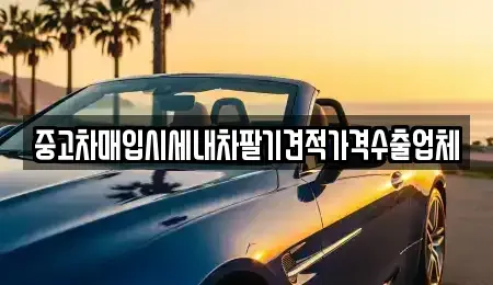 경상북도 경주시 강동면 중고차매입 전문 중고차매입시세내차팔기견적가격수출업체