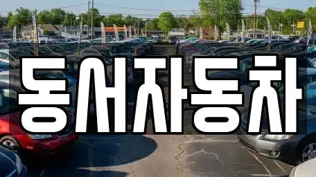 경상북도 경주시 노동동 중고차매매 전문 동서자동차