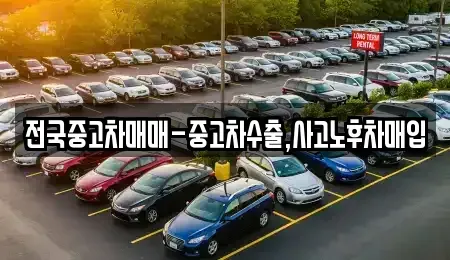 경상북도 경주시 노동동 중고차매매 전문 전국중고차매매-중고차수출,사고노후차매입