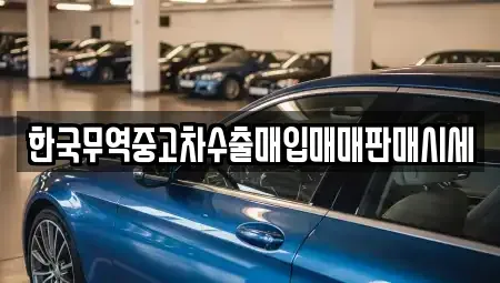 경상북도 경주시 노동동 중고차매매 전문 한국무역중고차수출매입매매판매시세