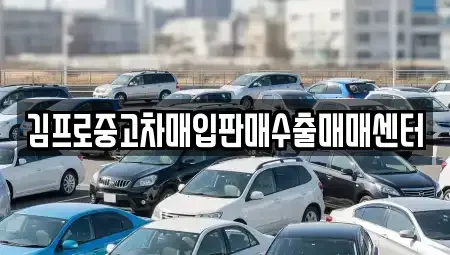 경상북도 경주시 노동동 중고차매입 전문 김프로중고차매입판매수출매매센터